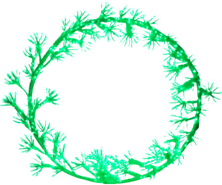 WREATH 30" WHITE CLUSTER LIGHT