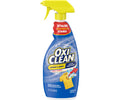 Oxiclean Lndry Stn Rmvr 21.5oz