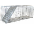 Trap Sngl Door Raccoon Size