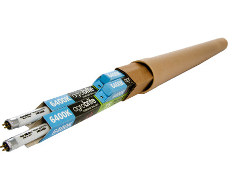 T5 2' 6400K Bulb 4/Pk