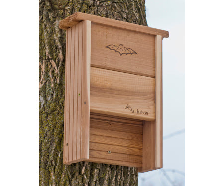 Shelter Bat