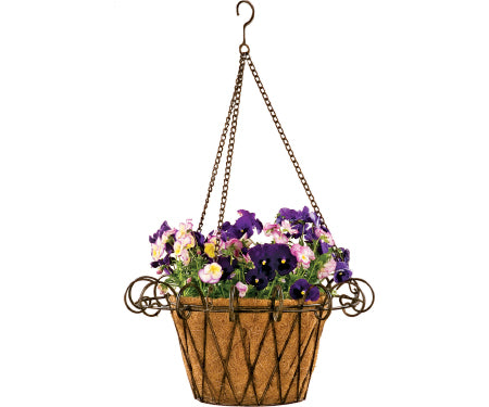 Hanging Basket French With Liner