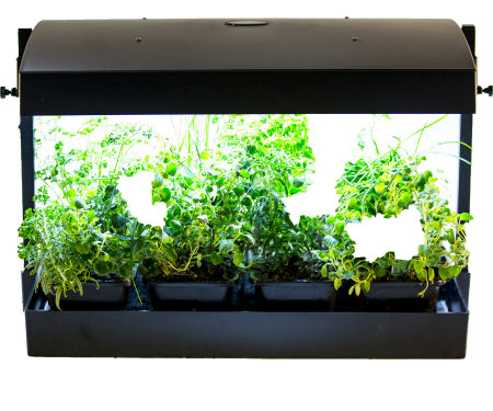 Sunblaster Led Grow Light Garden Black
