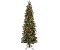 6.5' Tree Oregon Pine 500 CL