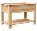Raised Garden Planter Cedar W/ Liner