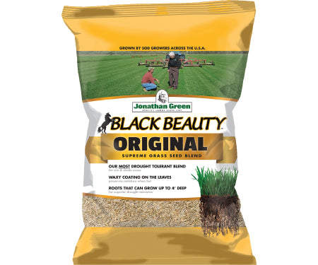 Grass Seed BB Tall Fescue 50#